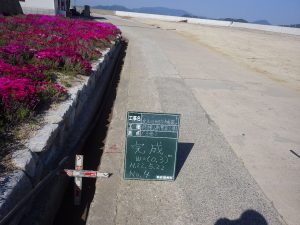 IMGP9443